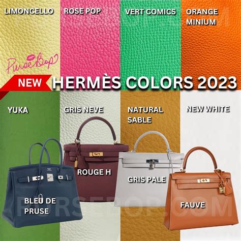 craie color hermes|hermes handbags color chart.